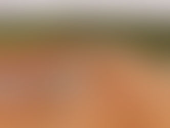 Aterro regional vai acabar com sofrimento