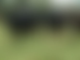 Rondônia lidera a produção de leite na Região Norte