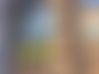 Em 2017 foram registrados 17 mortes por conflitos agrários em RO