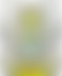 CÂMARA MUNICIPAL DE PIMENTA BUENO – RO
PODER LEGISLATIVO