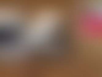 Diretora de escola morre ao capotar veículo no interior de MT