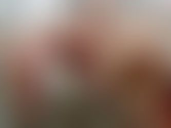 O agronegócio responde por 11,4% do PIB no Estado