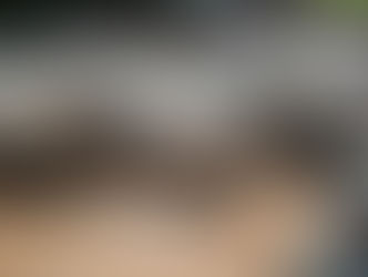 NÚMERO DE ESTABELECIMENTOS DE PRODUTOS DE ORIGEM ANIMAL EM RONDÔNIA SALTA DE 20 PARA 60 EM DOIS ANOS