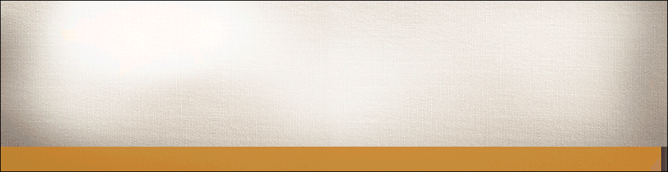 Banner970x250-CAFE-ALERO.gif