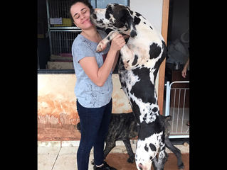 Sucesso profissional, egressa da Facimed fala sobre o sonho de se tornar médica veterinária