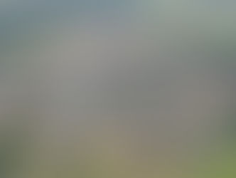 Prefeitura em MT abre amplo concurso com salários até R$ 9 mil