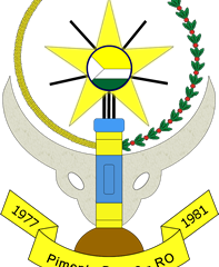 CÂMARA MUNICIPAL DE PIMENTA BUENO – RO