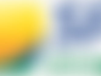 CDL oferece as empresas serviço para vender com segurança