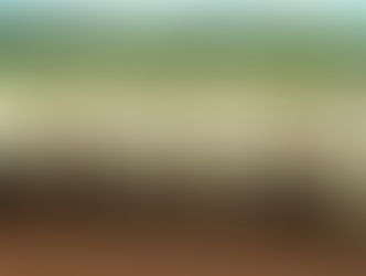 EXPORTAÇÃO DE BOVINOS VIVOS PELO BRASIL CRESCE 39% EM 2017 ANTE 2016