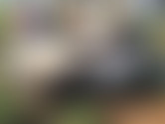 Duas pessoas uma delas uma criança morrem em acidente na BR-163