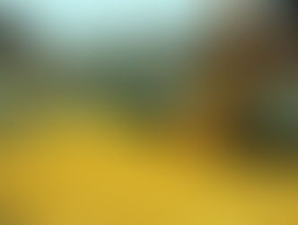 EXPORTAÇÃO DE SOJA DO BRASIL CRESCERÁ 11,7% EM 2018; ESTOQUE TEM MÍNIMA EM 19 ANOS