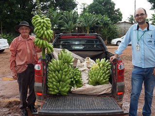 Produtores de Querência do Norte participam de curso durante toda a semana oferecido pela prefeitura
