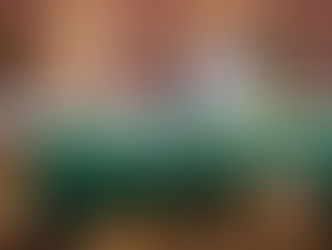 Café rondoniense é destaque em Audiência de Comissão do Senado