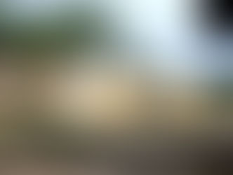 Concurso da ALE com inscrições abertas a partir de hoje