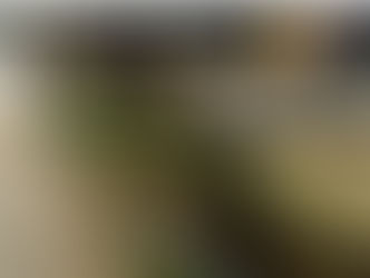 Urgente Carreta carregada de soja tomba na BR-364, área urbana de Jaru