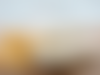 EGITO ABRE MERCADO PARA PRODUTOS LÁCTEOS BRASILEIROS