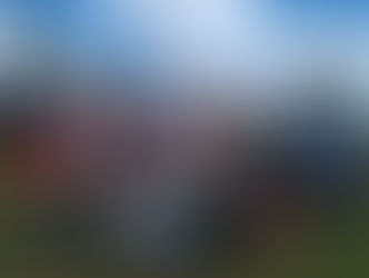 IFRO Campus Cacoal realiza primeira colheita de café