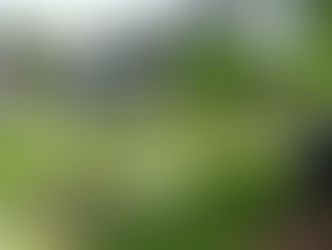 IFRO CAMPUS CACOAL ABRE PROCESSO SELETIVO SIMPLIFICADO PARA AGROPECUÁRIA