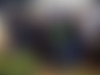 Programa Castra + atende mais de mil animais em Cacoal