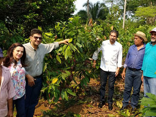 Projeto sobre expansão do Cacau Clonal e mutirão de saúde da família em Buritis