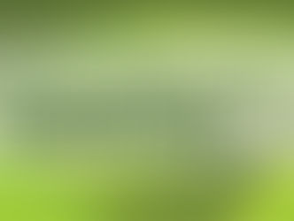 PEDIDO DE RENOVAÇÃO DE LICENÇA DE OPERAÇÃO