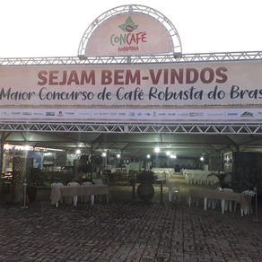Produtor de Novo Horizonte d'Oeste vence Concafé 2021