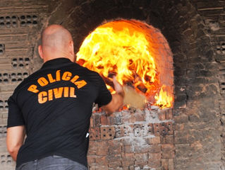 Polícia apreende mais de 850 quilos de entorpecentes no primeiro semestre de 2017