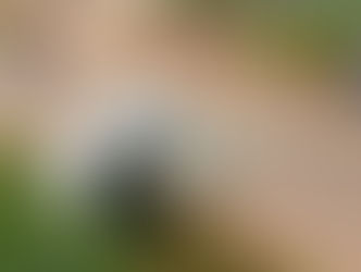 Homem puxa freio durante discussão com esposa e carro cai de 3m de altura em RO