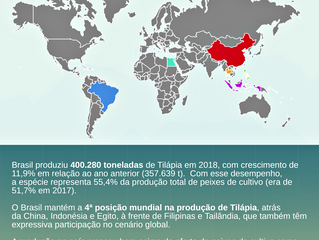 Cacoal e Vilhena aparecem em destaque no novo mapa do Turismo de Rondônia