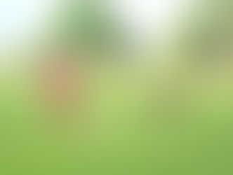 Final da 4ª Copa Master Sucam é neste sábado