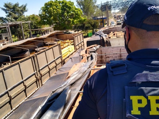 Ouro, drogas e madeira: PRF segue firme no combate ao crime em Rondônia