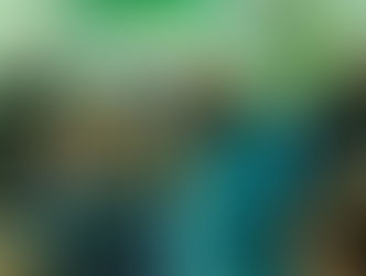 Exploração de minérios em terras indígenas em Rondônia é debatida em audiência pública