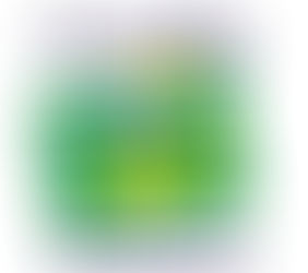 Secretaria de Trabalho e Ação Social informa sobre curso de Administração de Finanças Pessoais