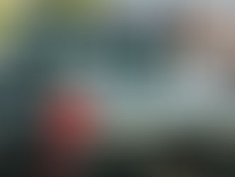 Corpo de idoso que estava desaparecido é encontrado em mata