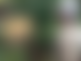 Idoso é resgatado após 10 anos de trabalho em troca de pinga e fumo