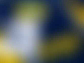 Em Rondônia, PRF prende cinco foragidos da Justiça