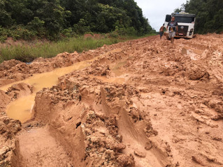 Criadores de Peixes de Rondônia otimistas com restauração da BR-319