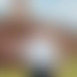 Taxa de desemprego em Rondônia cai para 3,3%, Acir Gurgacz destaca recorde histórico de investimentos da iniciativa privada