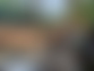 Dez são presos por garimpo ilegal durante operação das Forças Armadas