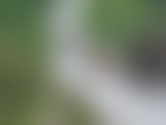 Rondônia deve receber mais de R$ 12 bilhões em investimentos com privatizações e concessões