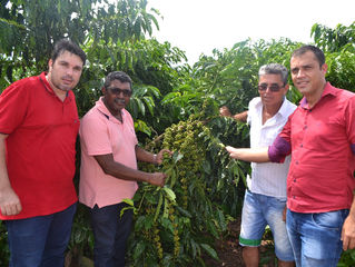 Deputado Só na Bença visita plantações de café clonal e é elogiado pelos produtores rurais
