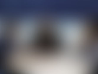 Frente Parlamentar pela Micro e Pequena Empresa na ALE/RO é discutida