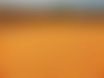 NOVO LEILÃO PARA VENDA DE MILHO É MARCADO PARA A PRÓXIMA SEXTA-FEIRA (12)