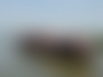 SISTEMA ELETRÔNICO QUE AGILIZA EXPORTAÇÃO E IMPORTAÇÃO SUPERA 100 MIL REGISTROS