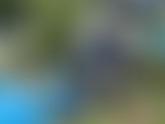 Piloto e ocupante ficam feridos após queda de avião em Poconé