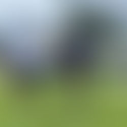 Associação Filhos de Rondônia realiza 1º Torneio Aberto X2 em Cacoal