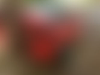 URGENTE: Motorista sofre fratura exposta ao bater em árvore