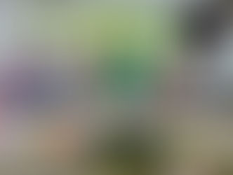 7ª EXPOFELIPE supera todas as expectativas