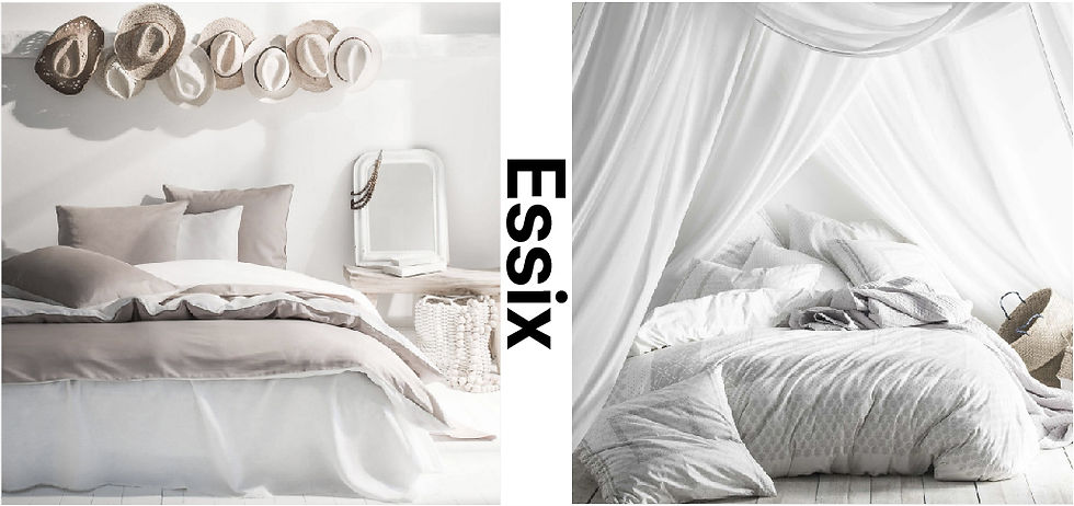 galerie wix Essix .jpg