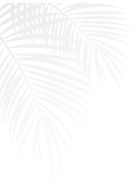 fondo palmera.png